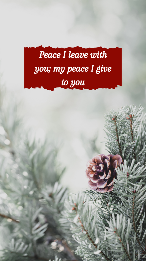 Peace I leave with you; my peace I give to you." – John 14:27