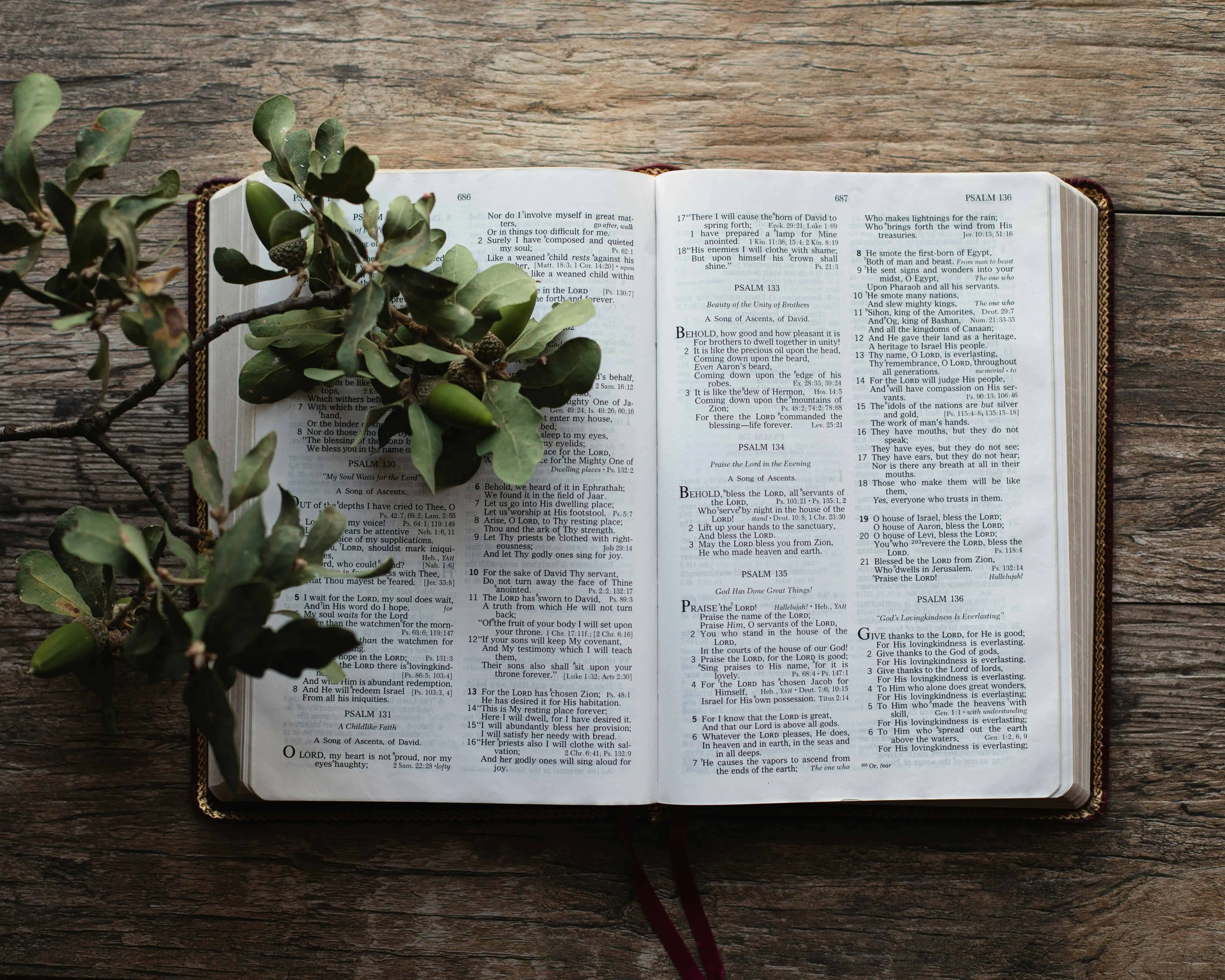 50 Powerful Bible Verses for Faith and Hope