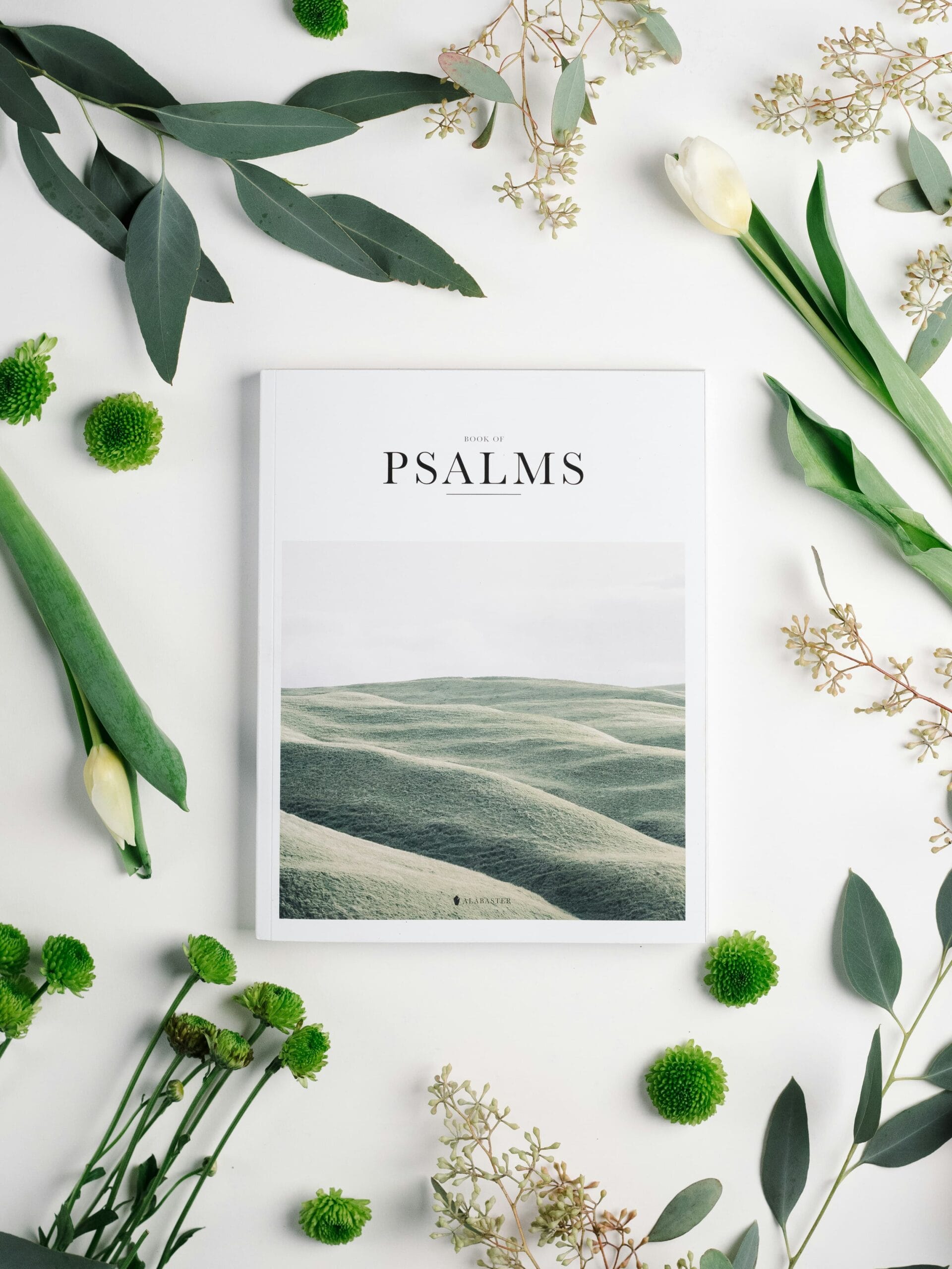 Feeling Anxious? These Psalms for Anxiety Can Help Calm Your Heart Today